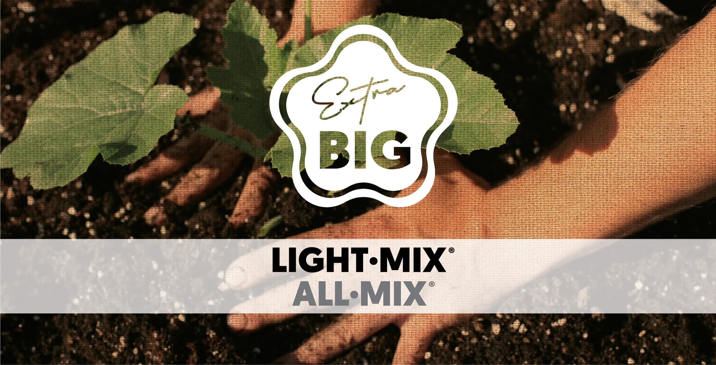 Des mains installent un jeune plant dans une terre sombre, à côté du sceau Extra Big pour Light·Mix et All·Mix.