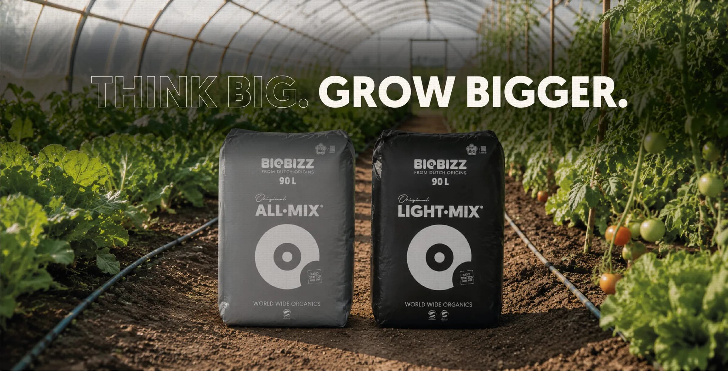 All·Mix and Light·Mix 90 litre bags in a polytunnel of tomatoes and salad leaves.
